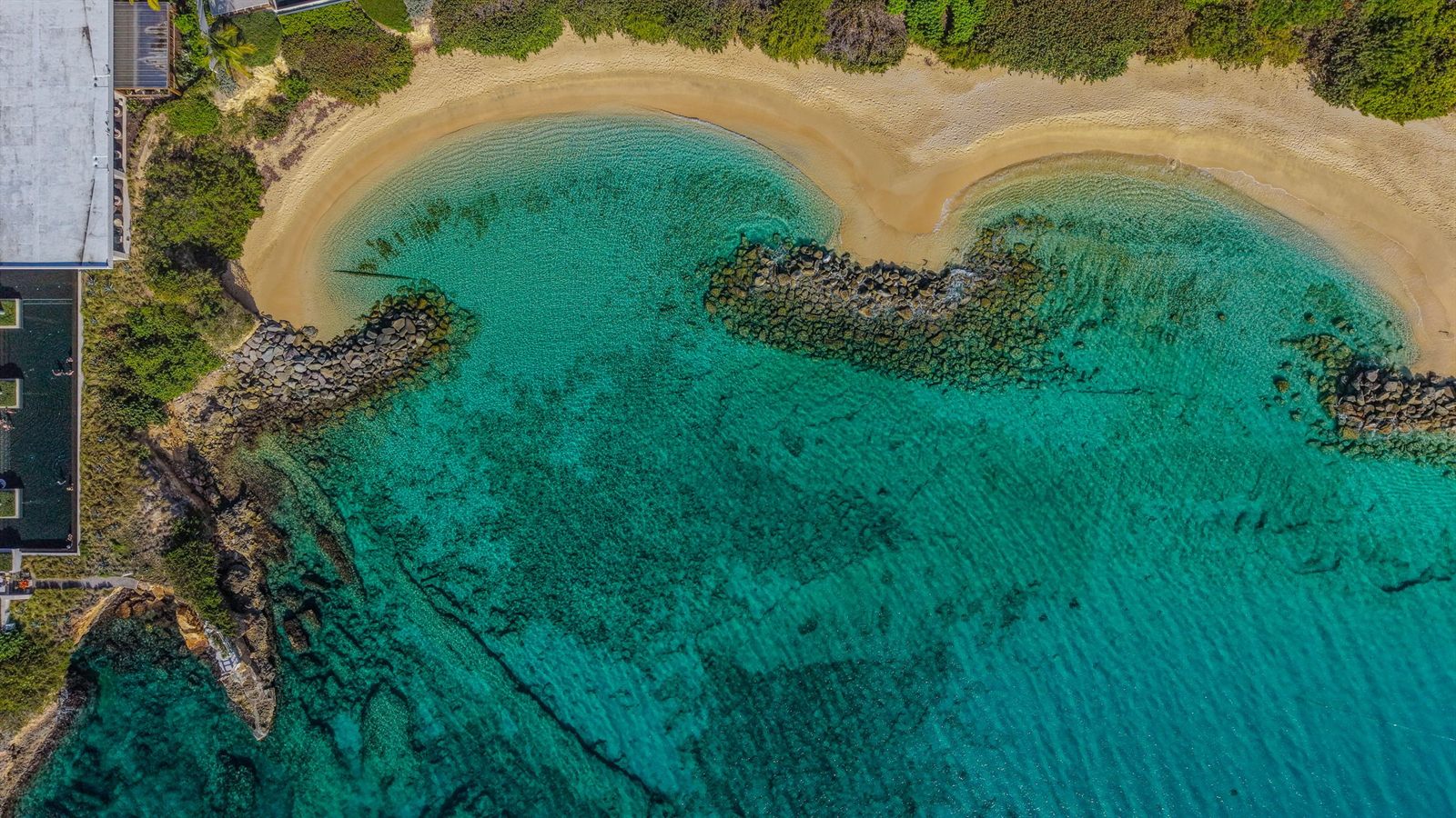 Aerial view of a curving sandy cove and clear turquoise water in the Leeward Islands